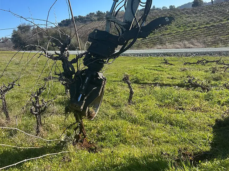 Vineyard Removal with Specialized Equipment