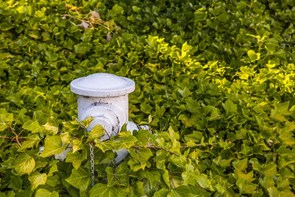 fire hydrant clearance