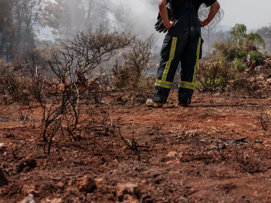 defensible space clearing near me